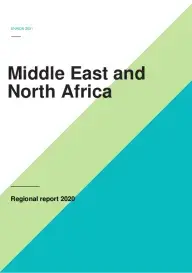 MENA_Regional report_2020