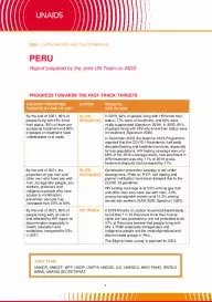 Peru_Country Report_2020_formatted_EN