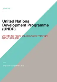 UNDP_Organizational report_2018-2019