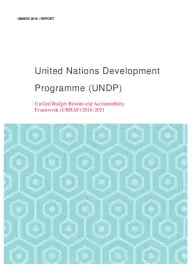 UNDP_organizationalreport_final_tmp