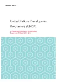 UNDP_organizationalreport_final_tmp_f