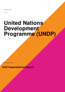 04. 2022 UNDP