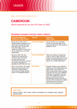 Cameroon_Country Report_2020_formatted_EN