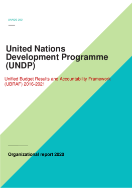 UNDP_Organizational report_2020.pdf